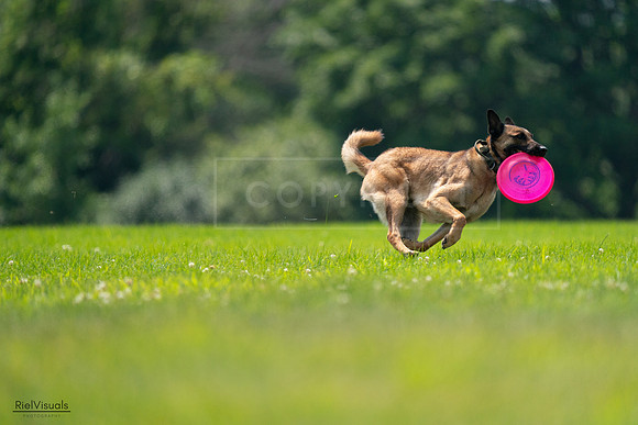 RielVisuals_20240727_131953_SJR07633