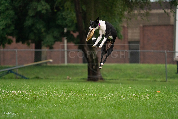 RielVisuals_20240722_193440_SJR01462