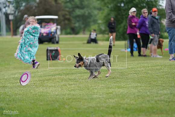 RielVisuals_20240525_164213_SJR05258