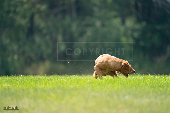 RielVisuals_20240727_122359_SJR05437