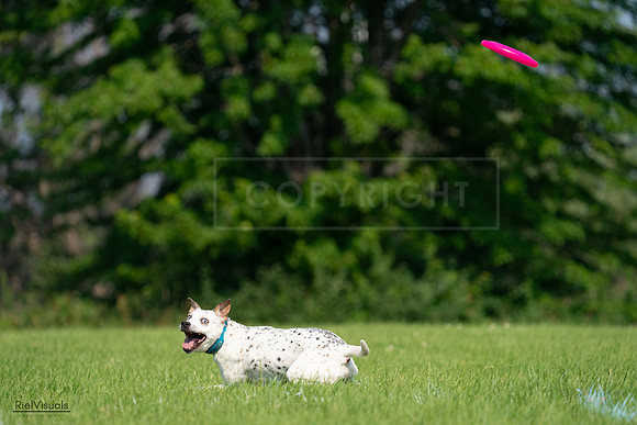 RielVisuals_20240727_095437_SJR08014
