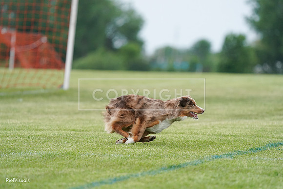 RielVisuals_20240525_163500_SJR04893