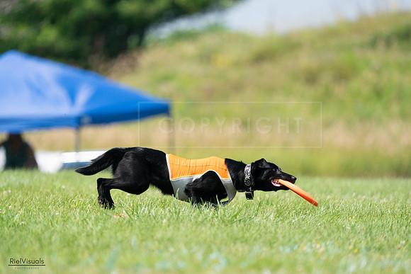 RielVisuals_20240727_134417_SJR08162