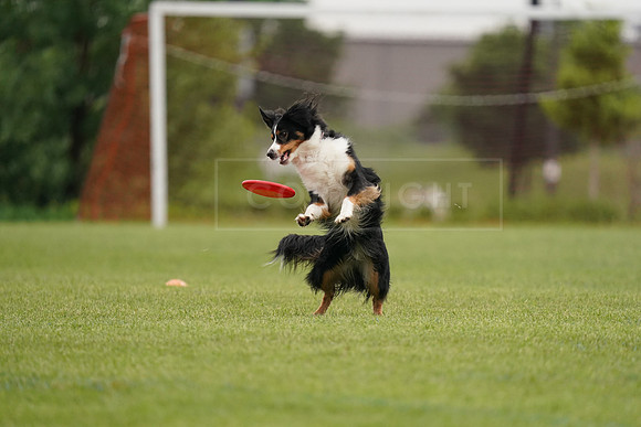 RielVisuals_20240527_122701_SJR06261