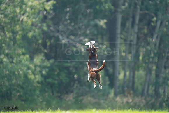 RielVisuals_20240727_123015_SJR05681