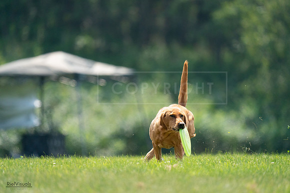 RielVisuals_20240727_122424_SJR05486