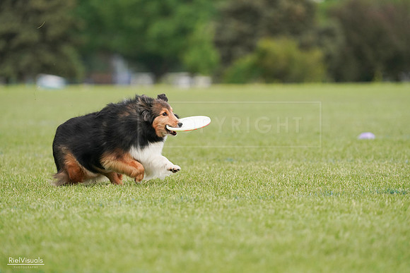 RielVisuals_20240527_140854_SJR01569