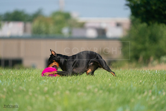 RielVisuals_20240727_100530_SJR08518