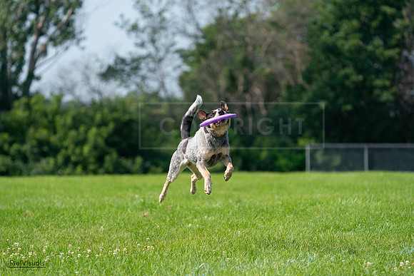 RielVisuals_20240728_103238_SJR08435