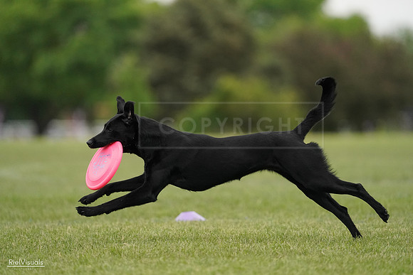 RielVisuals_20240526_132020_SJR07564