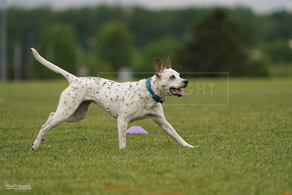 RielVisuals_20240526_134233_SJR08786
