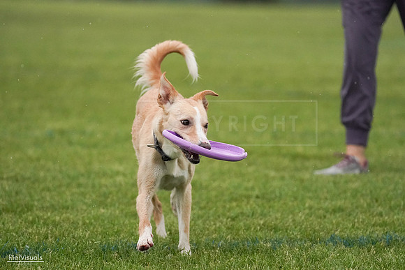 RielVisuals_20240527_094011_SJR08375