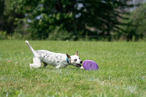 RielVisuals_20240728_120553_SJR02879