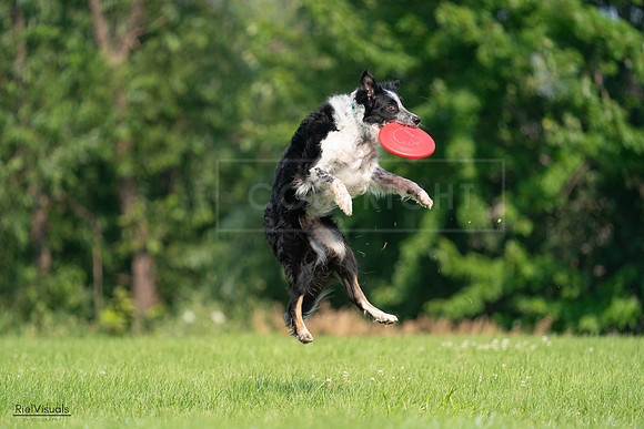 RielVisuals_20240727_100020_SJR08227