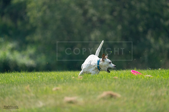 RielVisuals_20240727_120931_SJR04848