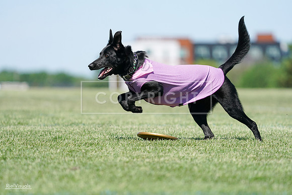 RielVisuals_20240525_104856_SJR05542