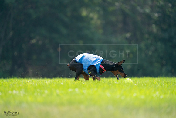 RielVisuals_20240727_122630_SJR05568