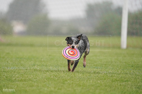 RielVisuals_20240527_105202_SJR02027