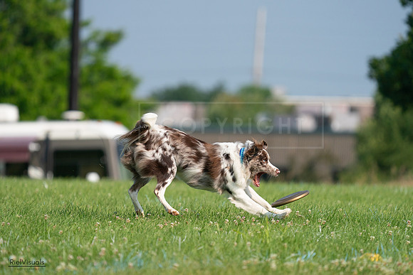 RielVisuals_20240727_092820_SJR06464