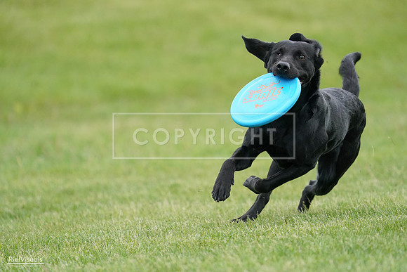 RielVisuals_20240525_163946_SJR05116