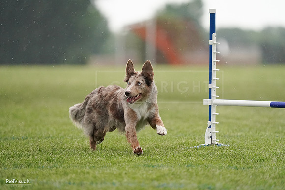 RielVisuals_20240526_092547_SJR09987