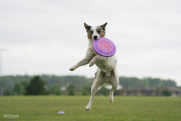 RielVisuals_20240526_092914_SJR00172