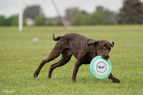 RielVisuals_20240527_132615_SJR09811