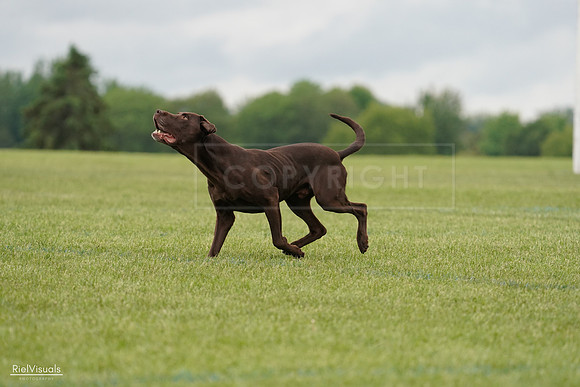 RielVisuals_20240527_132600_SJR09771