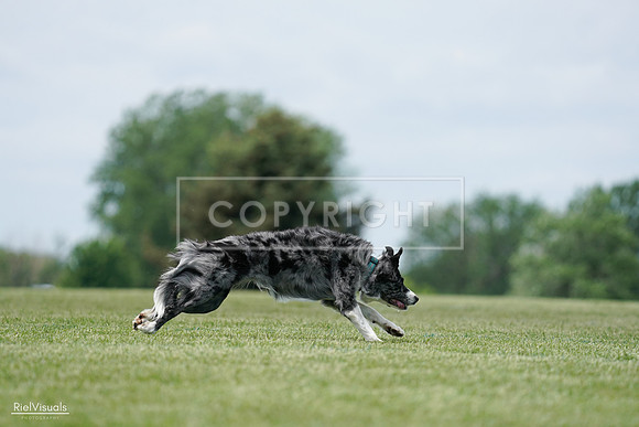 RielVisuals_20240525_124348_SJR01003