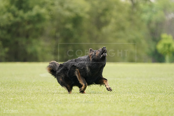 RielVisuals_20240527_132925_SJR09940