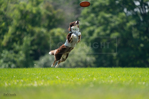 RielVisuals_20240727_130359_SJR06717