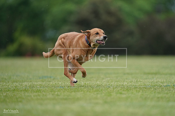 RielVisuals_20240525_161830_SJR04012