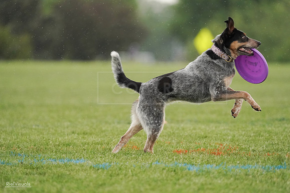 RielVisuals_20240526_094756_SJR01056