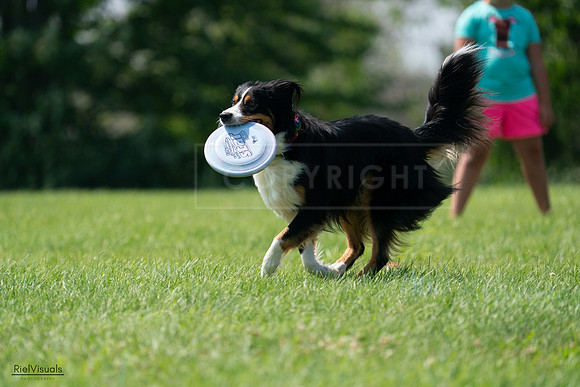RielVisuals_20240728_144442_SJR09003