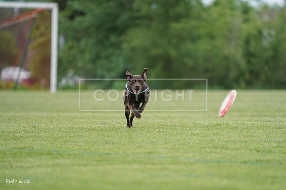 RielVisuals_20240525_162653_SJR04454