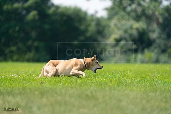 RielVisuals_20240727_115958_SJR04440