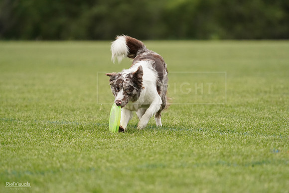 RielVisuals_20240526_132919_SJR07917