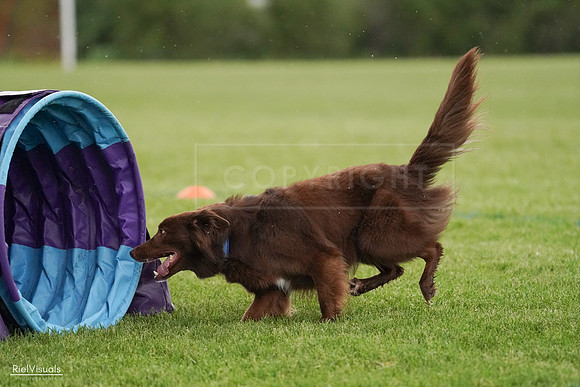 RielVisuals_20240526_094217_SJR00847