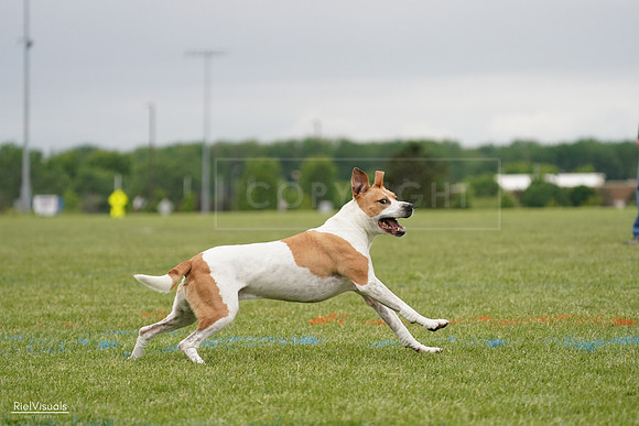 RielVisuals_20240526_134038_SJR08647