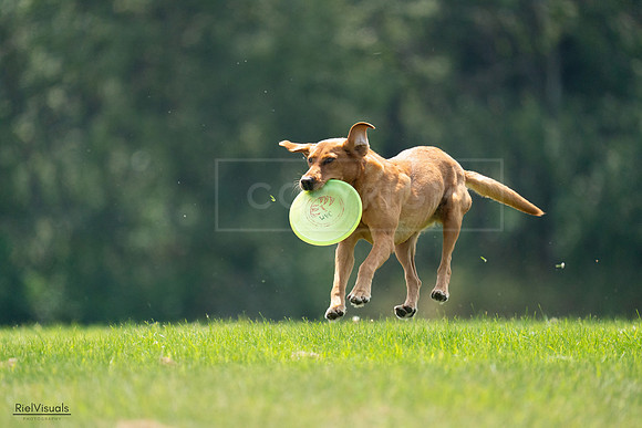 RielVisuals_20240727_122411_SJR05458
