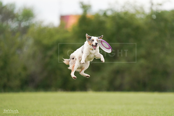 RielVisuals_20240527_140115_SJR01192