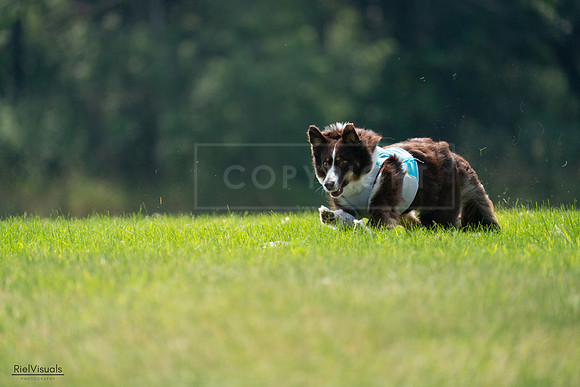 RielVisuals_20240727_120450_SJR04695
