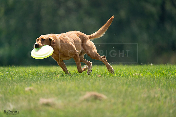 RielVisuals_20240727_122411_SJR05469