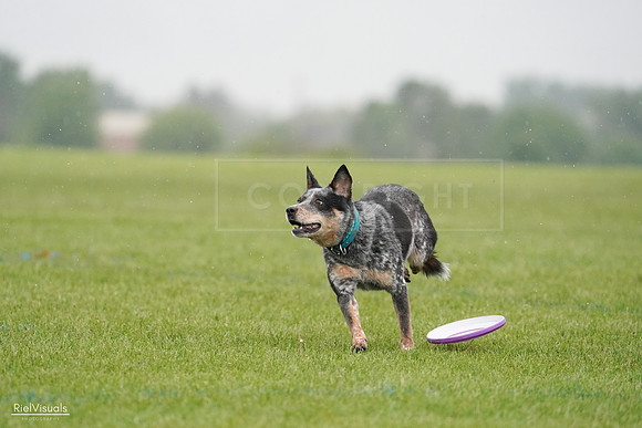 RielVisuals_20240527_105114_SJR01892