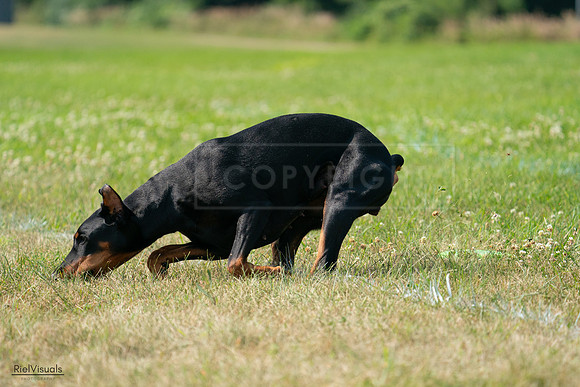 RielVisuals_20240728_103544_SJR08626