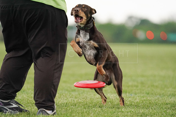 RielVisuals_20240526_095745_SJR01533