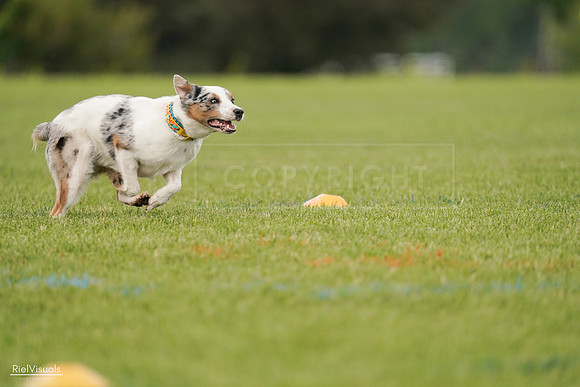 RielVisuals_20240527_140141_SJR01240