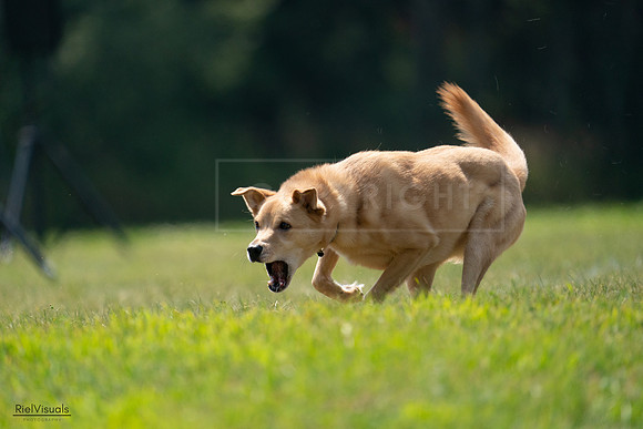 RielVisuals_20240727_120030_SJR04491