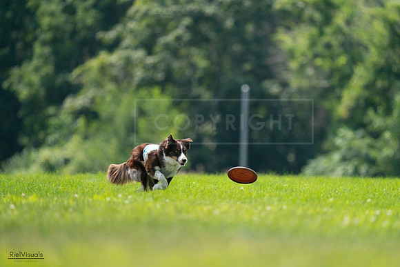 RielVisuals_20240727_130343_SJR06696