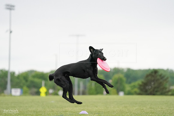 RielVisuals_20240526_132017_SJR07554